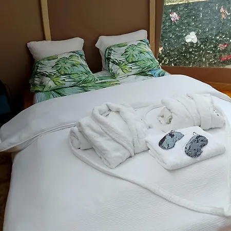 ラグジュアリーテント Glamping Dome